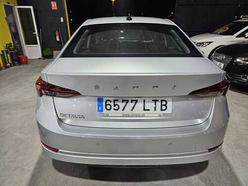 WhatsApp Image 2026-03-12 at 14.40.56